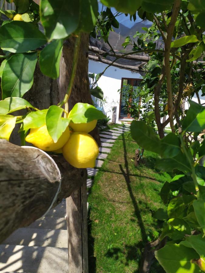 Casa Mia Villa Scala Ngoại thất bức ảnh